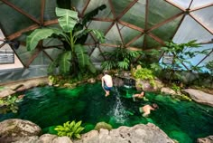 two men are playing in the pool with green water and plants on either side of it