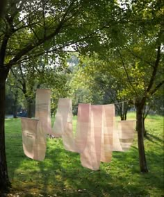 several pieces of pink fabric hanging from trees