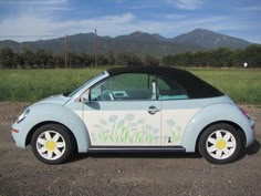 a small blue car with flowers painted on the side