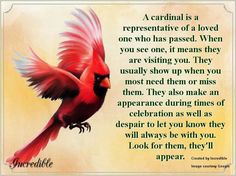 a cardinal is a representative of a loved one who has passed when you see one