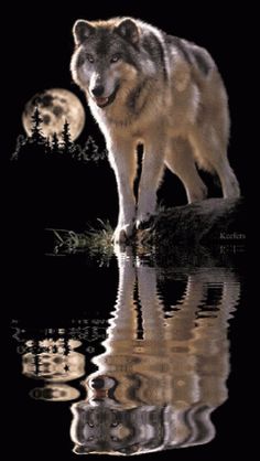 a wolf is standing on a log in the water at night with full moon behind it