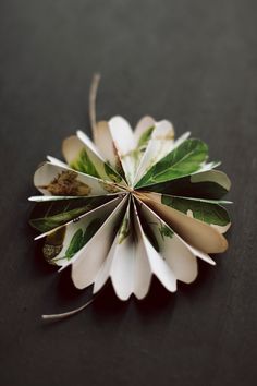 a white flower with green leaves on it's petals is shown from the top down