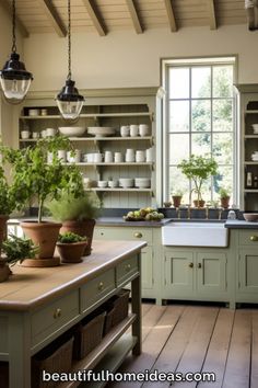 a kitchen filled with lots of green plants