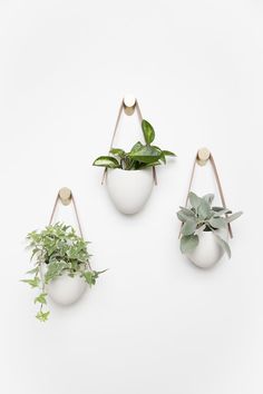 three white hanging planters with green plants in them on a white wall, one is holding a potted plant