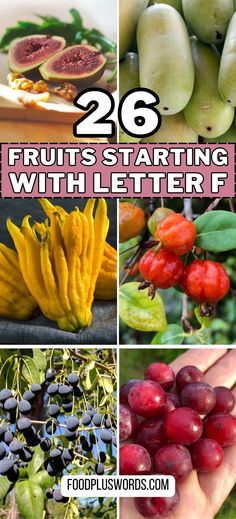 fruits starting with letter f and the words, 26 fruits starting with letter f