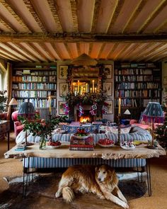 a dog is laying on the floor in front of a table with bookshelves