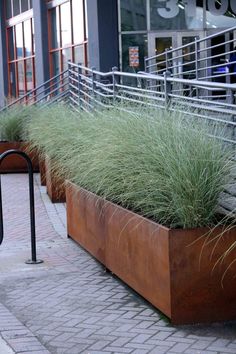 there is a planter with grass in it on the sidewalk