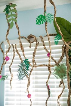 a window with some plants hanging from it