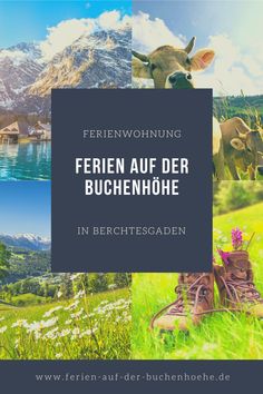 a collage of pictures with the words ferienn auf der buchernhohe in german