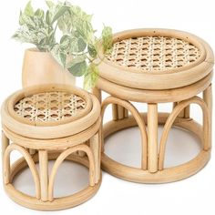 two wooden stools with plants in the middle