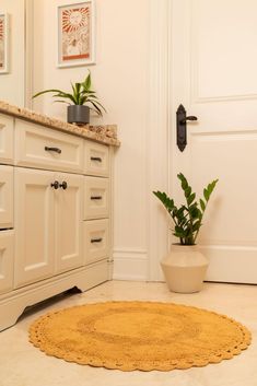 a bathroom with a potted plant on the floor and a rug in front of it