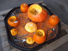 several pumpkins are sitting on a tray with spoons and spices around them,