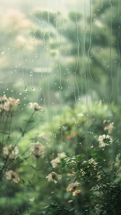 some flowers and grass with rain drops on them