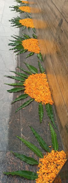 yellow flowers are lined up on the floor