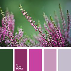 purple and green color scheme with text overlaying the colors in this image are shades of lilac