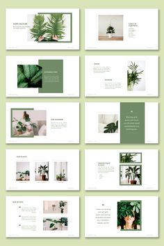 the green and white brochure is displayed in this image, with several different images on