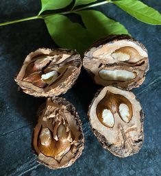 four pieces of nutmeal sitting on top of a blue surface next to a green leaf