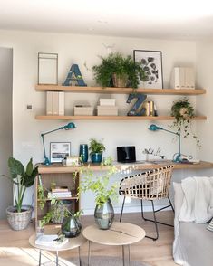 a living room filled with lots of furniture and plants on top of shelves above the couch