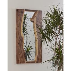 a mirror mounted to the side of a wall next to a potted palm tree