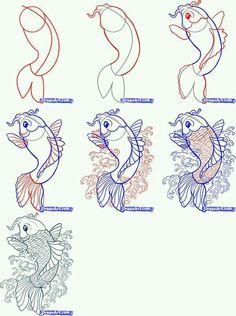 how to draw fish with different colors and shapes