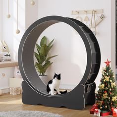 a black and white cat sitting in front of a mirror on the floor next to a christmas tree