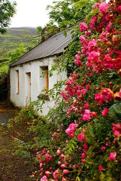 an old white house surrounded by flowers and trees in the country side with a path leading to it