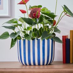 a potted plant sitting on top of a wooden table next to some colorful books