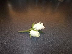 two white roses sitting on top of a black counter