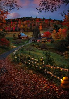 an autumn evening in the country with lights strung from trees