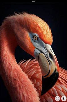 an image of a flamingo bird with its head turned to the side and it's beak open