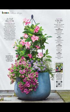 a large blue planter filled with lots of flowers