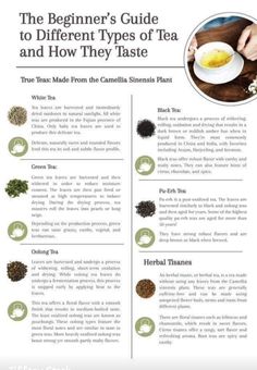 the beginner's guide to different types of tea and how they taste info sheet