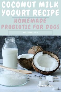 coconut milk is the best way to make your own homemade probiotic for dogs and cats