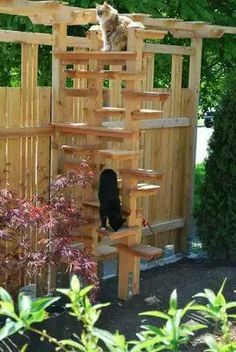 two cats sitting on top of a wooden structure