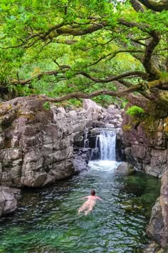 a man swimming in a pool next to a waterfall with green leaves on the trees