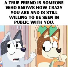 an image of a cartoon dog with caption that reads, a true friend is someone who knows how crazy you are and is still pulling to be seen in public with you