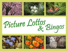 the words picture lotos and bingos are in front of pictures of flowers, plants, and animals