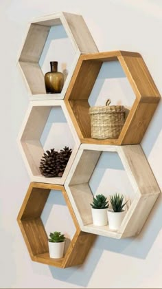 three wooden hexagonal shelves with plants on each shelf and one potted plant in the middle