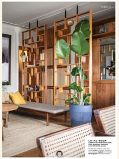 a living room filled with furniture and a plant in a blue pot on top of a wooden shelf