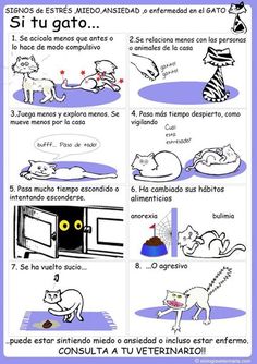 a poster with instructions on how to use the cat's litter box in spanish