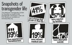 some signs that say snapshots of transgender life