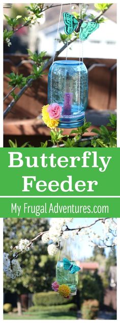 a bird feeder hanging from a tree with flowers in it and the words, butterfly feeder my frugal adventures com