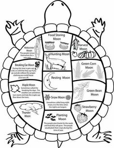 a turtle that is labeled in different parts of the body, including its head and neck