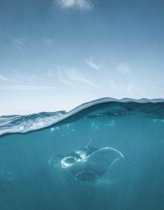 a person swimming in the ocean with their head under water