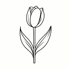 Crafts Cricut, Floral Graphics, Spring Tulips, Png Files, Crafts To Make, Tulips, Art Images, Craft Projects, Beauty Book