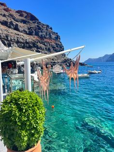 there are some plants that are hanging over the water