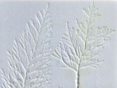 some white leaves are on the surface of a piece of paper that looks like it has been frosted