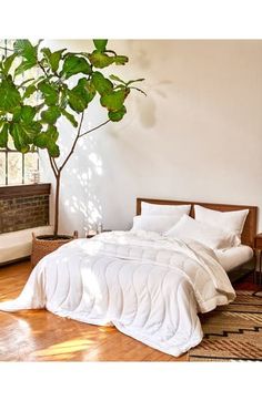 a bed with white sheets and pillows next to a potted plant on the floor