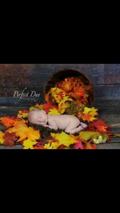 a newborn baby is laying on some autumn leaves