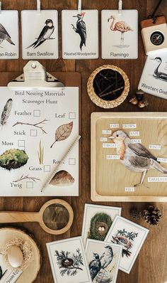 birds and plants are shown on the table with matching cards for each individual to read